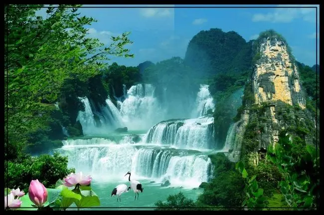 高端高端